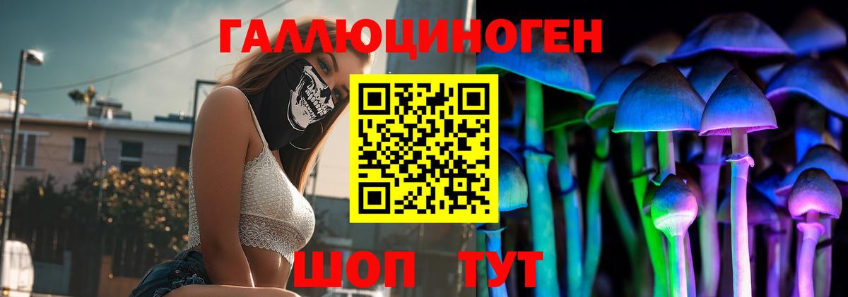 Галлюциногенные грибы Psilocybe Сызрань